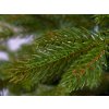 Vánoční stromek DELUXE jedle Bernard 500 cm