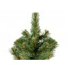 Vánoční stromek Narnie v květináči 25 cm