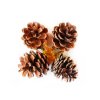 Sada 4 ks dekorací: Šišky přírodní se zápichem 5 cm