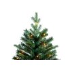 Vánoční stromek jedle Bernard v květináči 60 cm s LED OSVĚTLENÍM