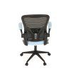 ka v317 blue 19