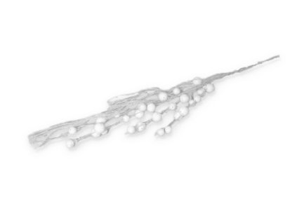 LAU 6160 1
