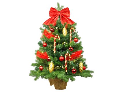 SANTA CLAUS 1