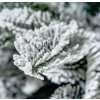 66279 9 66279 9 ozdobeny stromecek sametove poteseni ii 150 cm zasnezeny