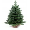Vianočný stromček jedlička Bernard v kvetináči 75 cm