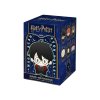 Pop Mart Harry Potter Magic Acad