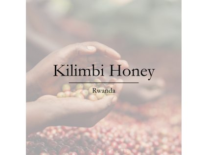 kilimbi rwanda kava arabica