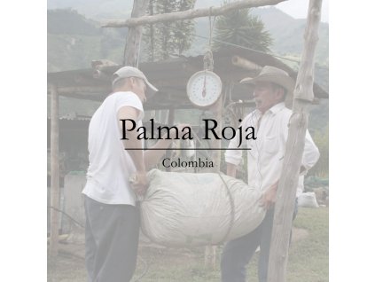 colombia coffee palma roja web