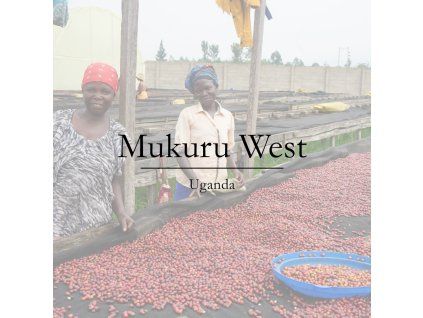 kava z ugandy mukuruwest