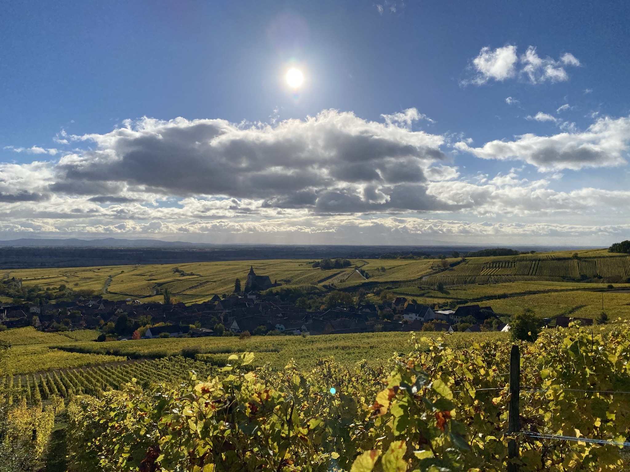 Vinařství Fernand Ziegler a synové aneb poklad alsaského vína