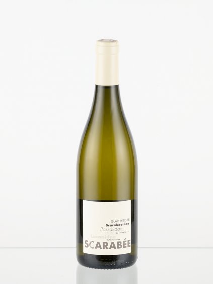Scarabee front033 1