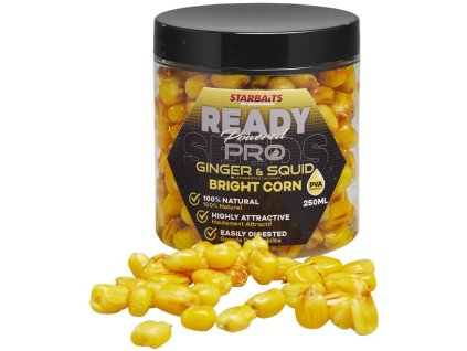 Starbaits Corn Bright Ready Seeds Pro Ginger Squid 250ml