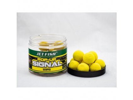 1923292 49bc6462 500x500