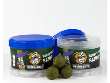 Snímek obrazovky 2024 07 08 203303