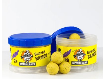 Snímek obrazovky 2024 07 08 203838