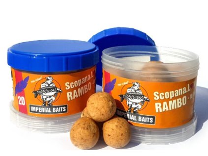 Snímek obrazovky 2024 07 08 204131