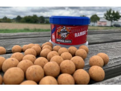 Snímek obrazovky 2024 07 08 204248