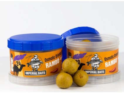 Snímek obrazovky 2024 07 08 204513