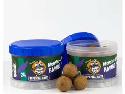 Snímek obrazovky 2024 07 08 203933