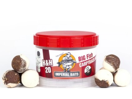 Snímek obrazovky 2024 07 08 220057