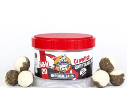 Snímek obrazovky 2024 07 08 220158