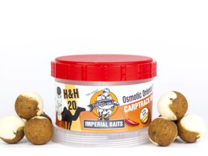 Snímek obrazovky 2024 07 08 220244