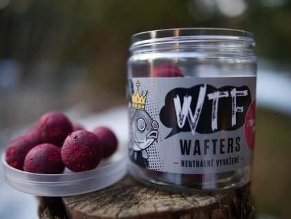 616740080 10234985254586607 4676958966354833316 n