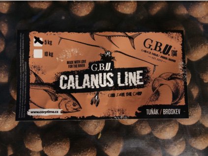 Snímek obrazovky 2026 02 09 v 16.37.09