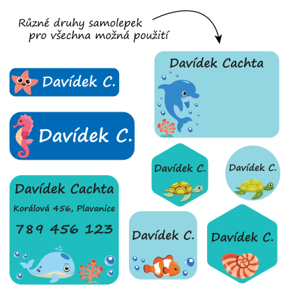 sealife nahled 3