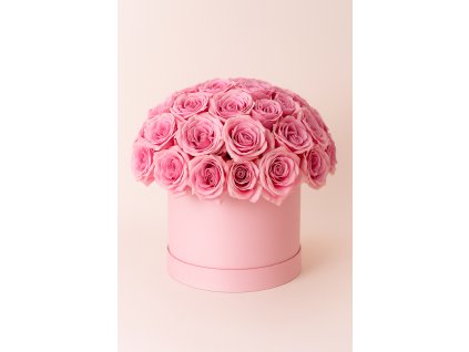 Růžové růže v boxu