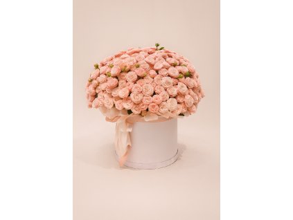 Box z keřových růží 3