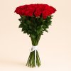Červené Růže 90 cm
