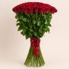 Červené Růže 100 cm