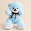 Plyšový Medvídek 1