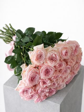 Усе заради її усмішки💕 Щоб зробити замовлення: +420 606 398 183 (WhatsApp, Telegram) Або просто напишіть нам у DM 📦 діє...