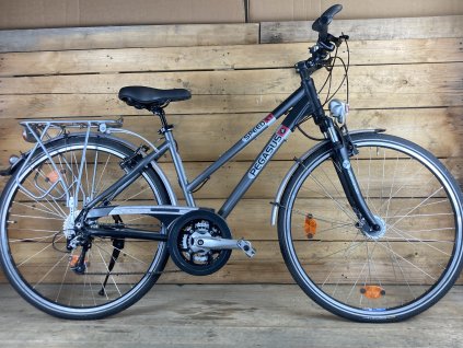 Pegasus Speed Xt 28"