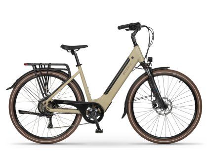 Ecobike X City