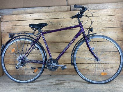 Pegasus Piazza 28"