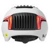 alpina2