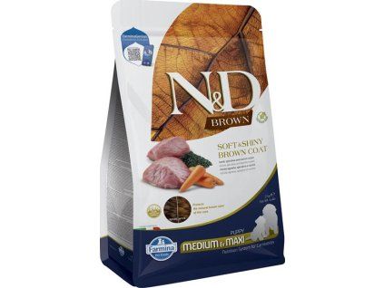 OBC026334 1762177138