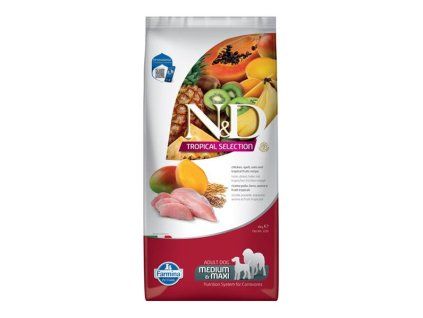 OBC026349 1763386838