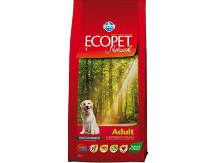 OBC026349 1763386838