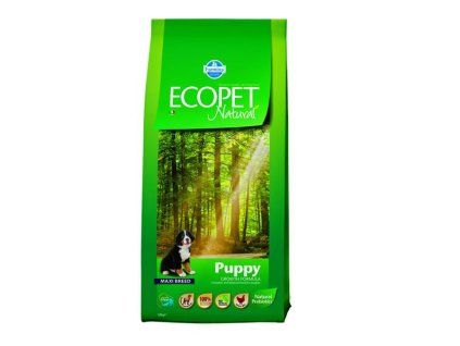 OBC026349 1763386838