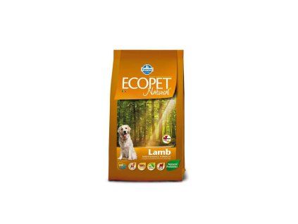 OBC026349 1763386838