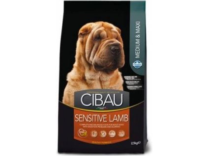 07e85c6c 40e1 441c b932 01b0f8efa12e