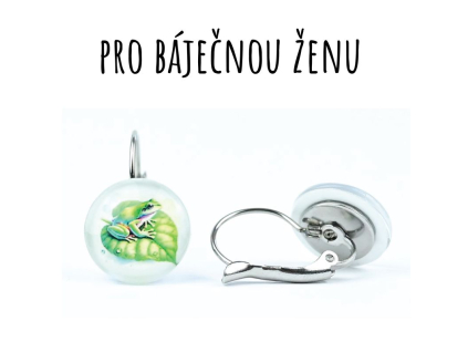 10687 2 10687 2 zaba vis