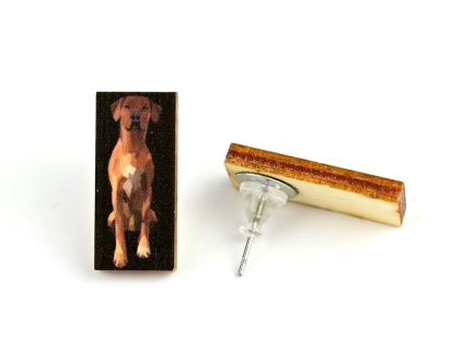 Náušnice dřevěné Rhodéský ridgeback