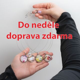 Už jen dnes! 🎁Ulovte si svůj vysněný šperk a neplaťte poštovné. Stačí v procesu objednávky vložit kód Doprava zdarma. Tak...