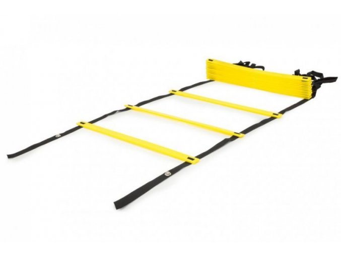 zebrik speed agility ladder