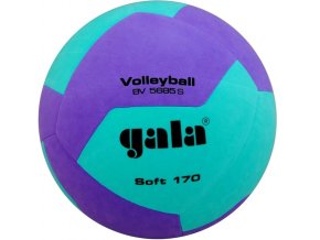 BV5685SCF
